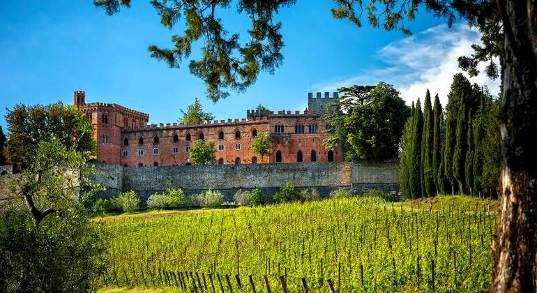 Chianti y Castillos desde Siena, Italy