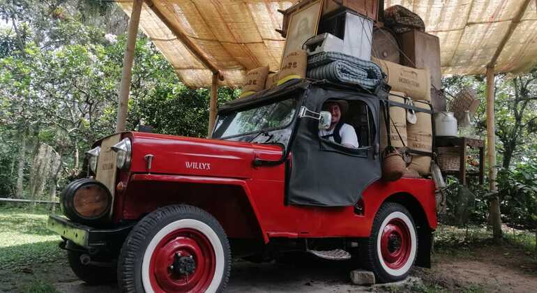 Ferme du café - Visite de groupe et départ quotidien Colombie — #2