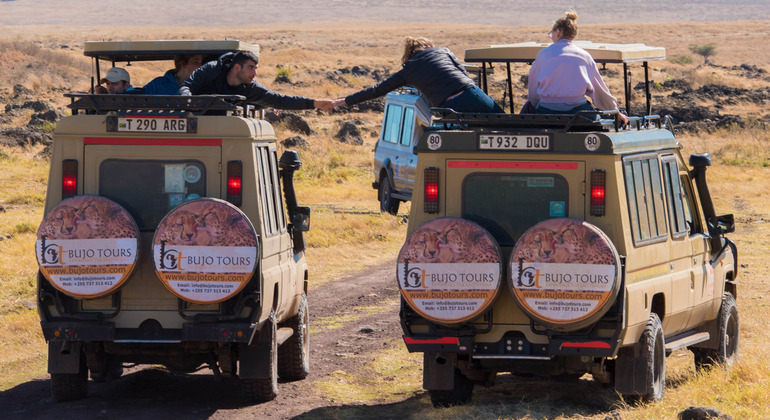 1 Day Tour to Ngorongoro Crater Provided by Bujo Tours and Safaris