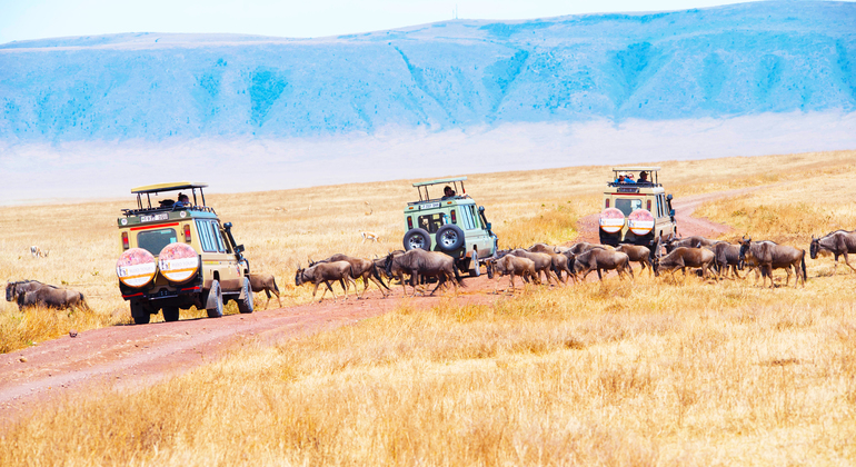 -day-tour-to-ngorongoro-crater-es-1
