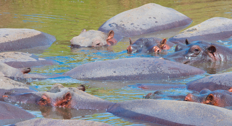 -day-tour-to-ngorongoro-crater-es-4