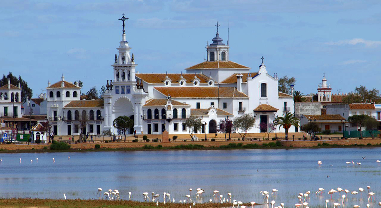 Walking Tour in El Rocío: La Virgen and La Marisma