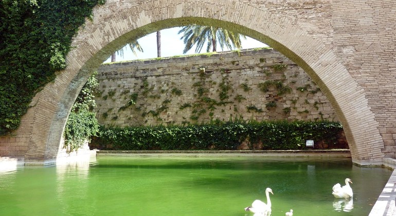 free-tour-palma-de-mallorca-3