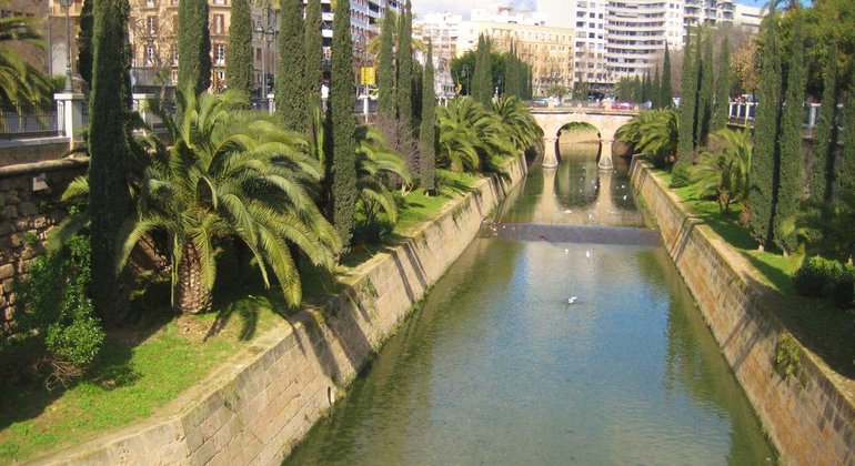 free-tour-palma-de-mallorca-7