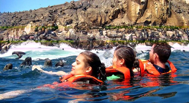 Manhã: Excursão à Ilha Palomino a partir de Lima