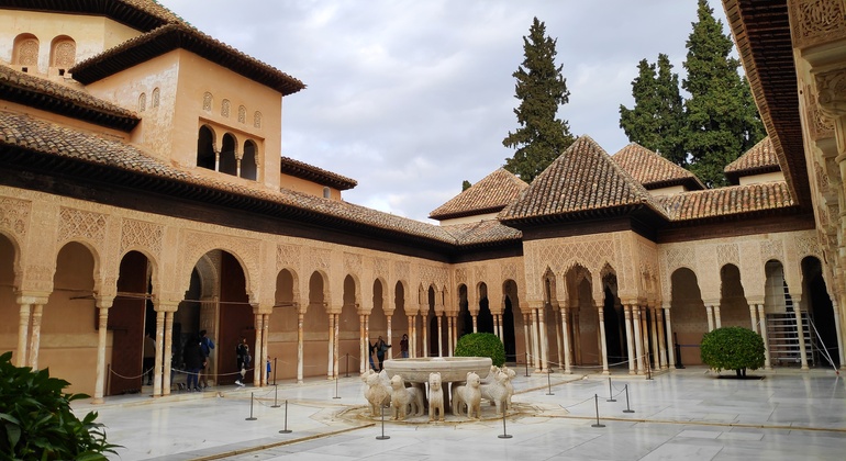 Granada & Alhambra Tour from Almería Provided by Almería Expertur