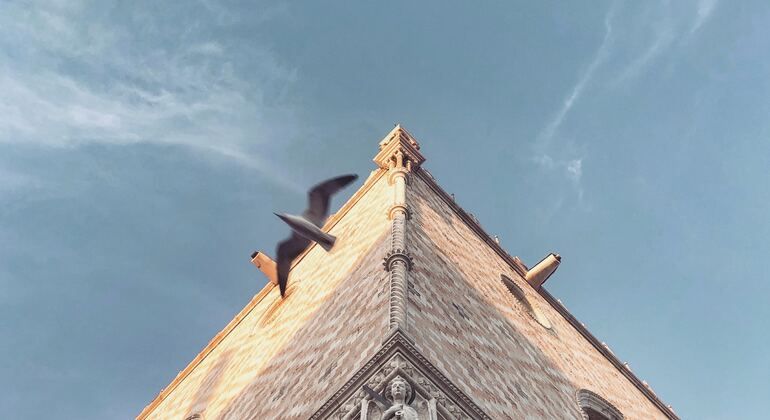 Visita guiada al Palacio Ducal Italia &mdash; #9