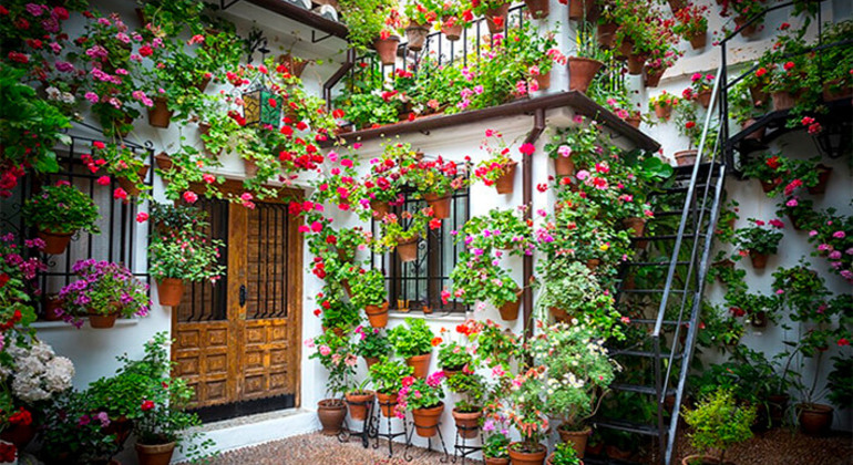 Free Tour Patios of Córdoba and Alcázar Viejo