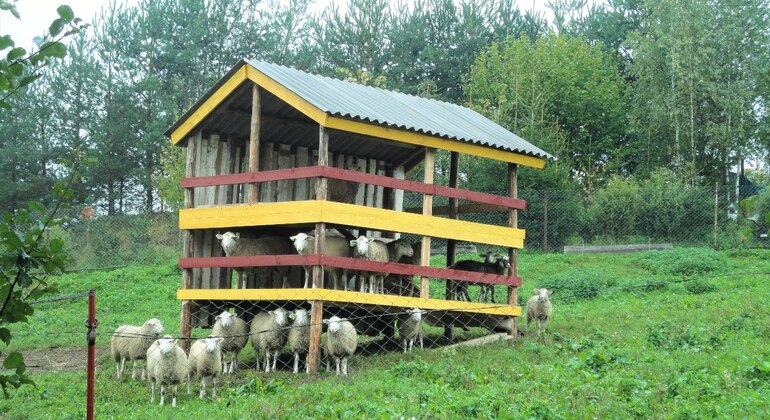 Ferme biélorusse et visite de la Biélorussie à la manière de Lyfe Fournie par Dranik-Tour