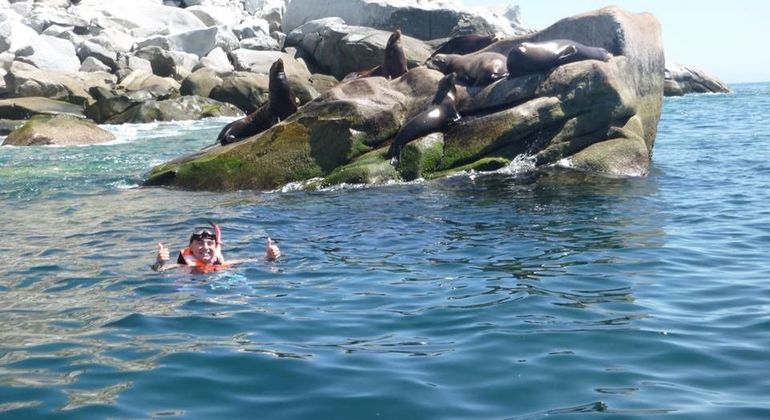 Passeio de um dia de caiaque e mergulho com snorkel