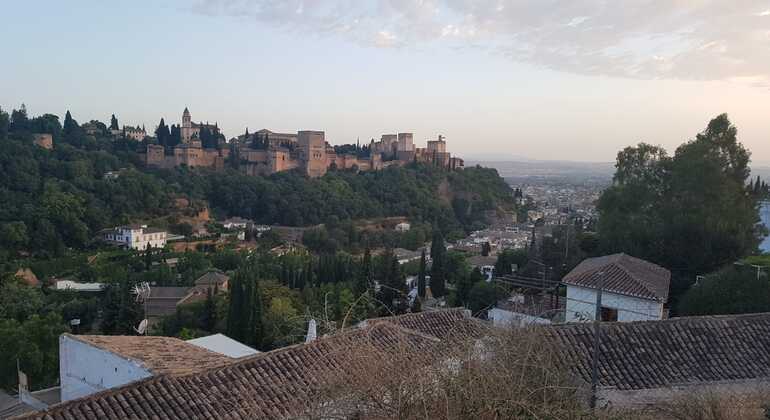 Free Night Tour of Granada