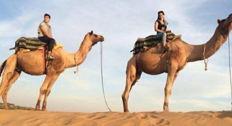 Safari in cammello di mezza giornata a Jodhpur Fornito da Sumit Tak