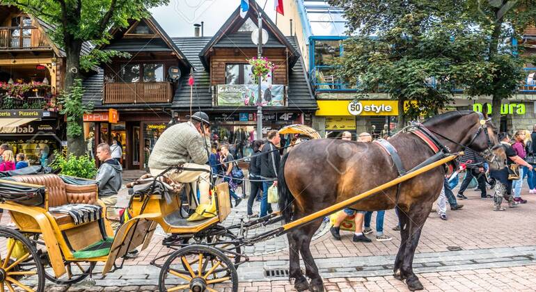 Excursion to Zakopane & Chocholow  Poland &mdash; #3