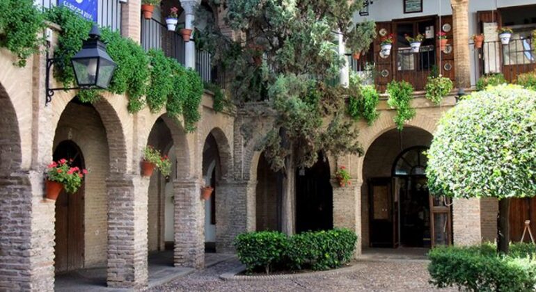 Tour privato a piedi di Cordoba in spagnolo