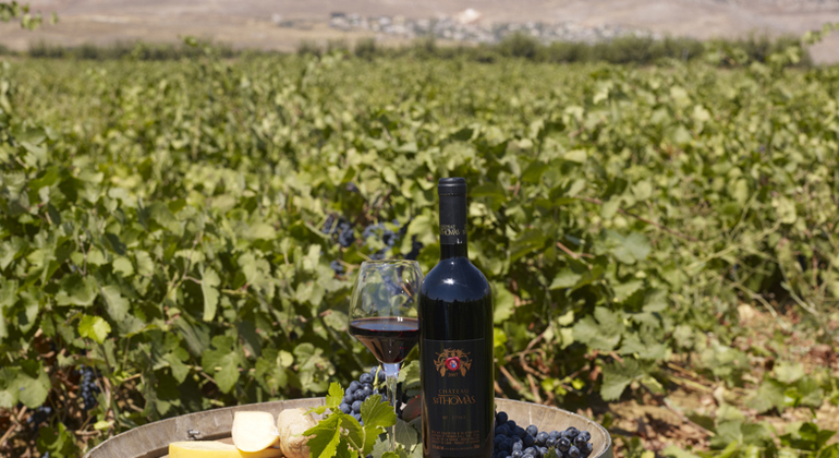 Private Guided Wine Tour In The Beqaa Valley - Day Trip From Beirut Provided by Lebanon Tours and Travels