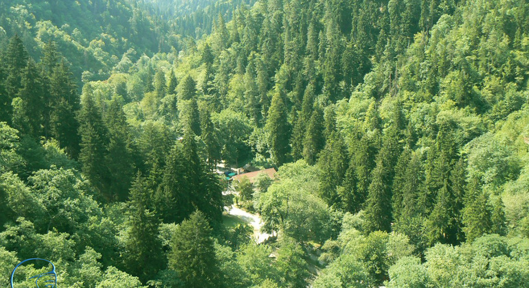 Excursão de um dia a Borjomi a partir de Tbilisi, Georgia