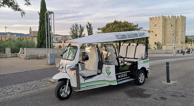 Tour Through Cordoba on a Tuk-Tuk Provided by Cordobaecoexperience