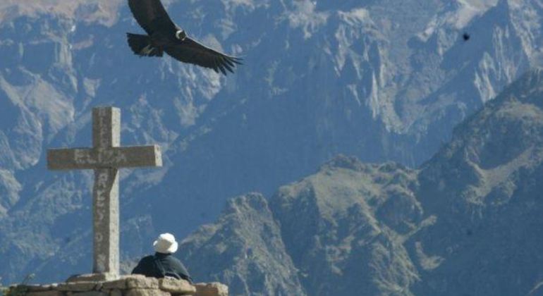 Fullday Colca Canyon Tour From Arequipa Arequipa