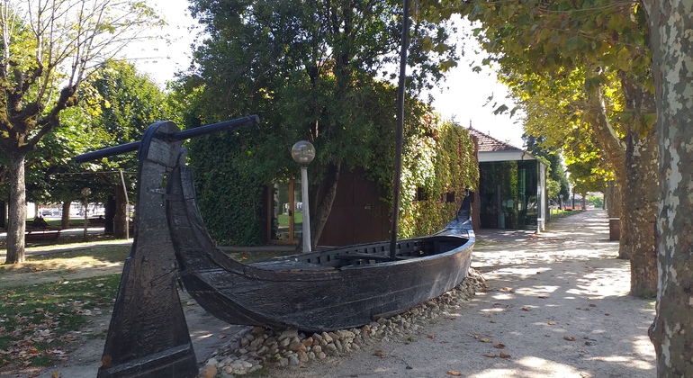 Visita a la otra cara de Coimbra Operado por Coimbra Walking Tour