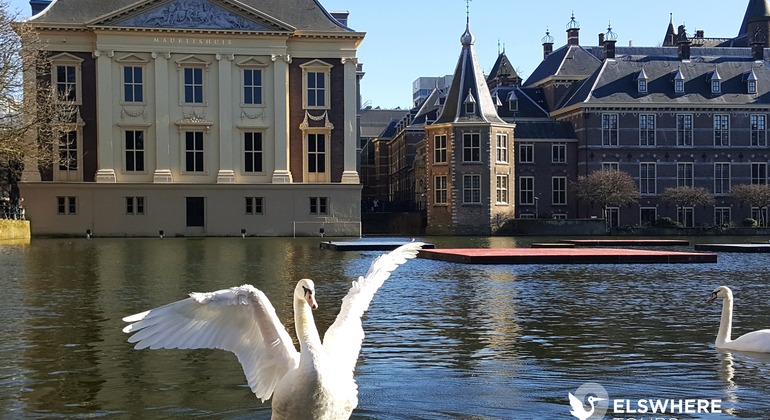 Visite gratuite de La Haye, Netherlands