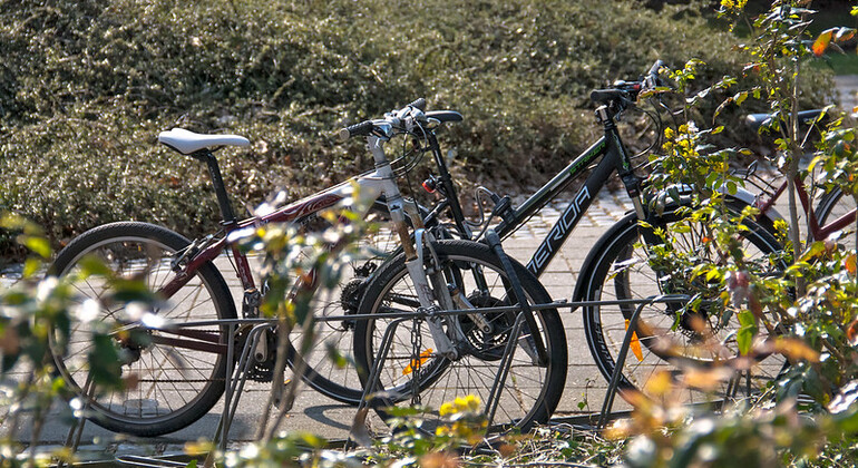 Valencia Todo en Uno BikeTour Operado por TOURISMUSVALENCIA