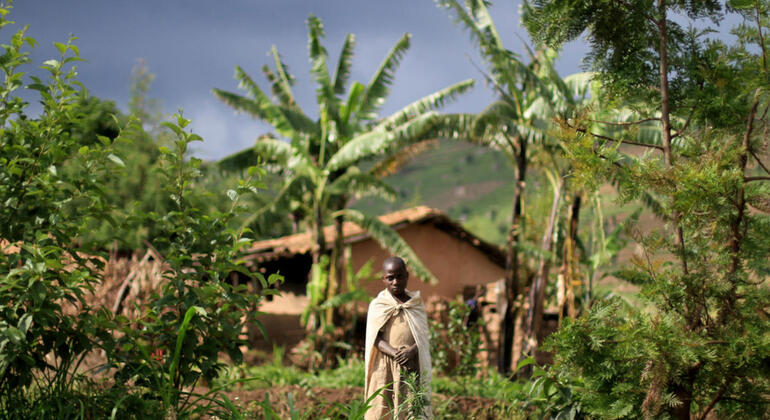 Caminhada no Monte Rugarika Organizado por Wild Hikes Rwanda