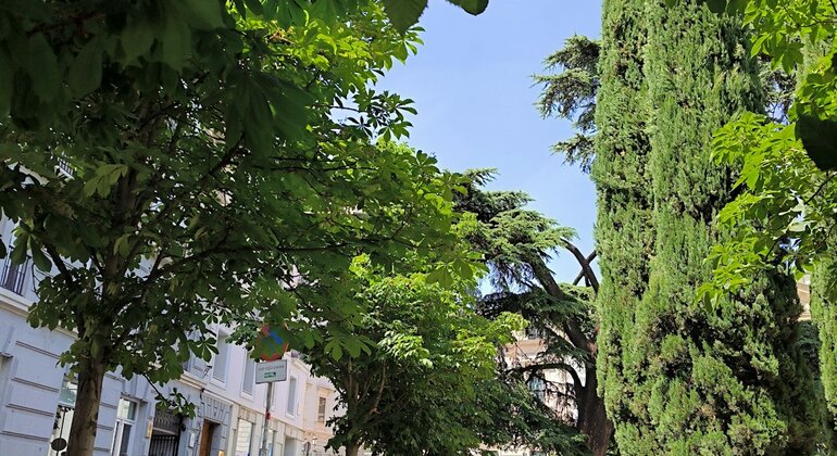 Joyas ocultas e históricas de Madrid: Juego de exploración autoguiado España &mdash; #7