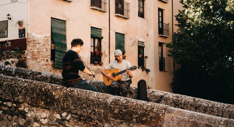 granada-historical-and-monumental-center-complete-tour-es-3