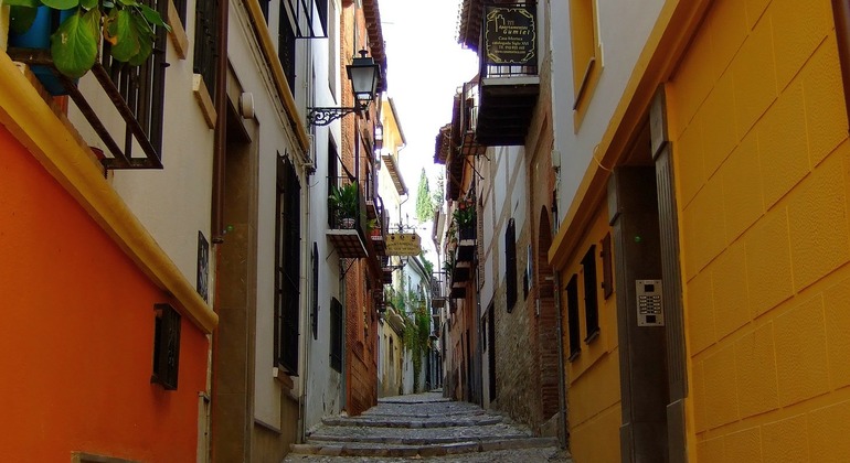 granada-historical-and-monumental-center-complete-tour-es-5