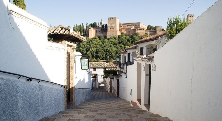 granada-historical-and-monumental-center-complete-tour-es-6