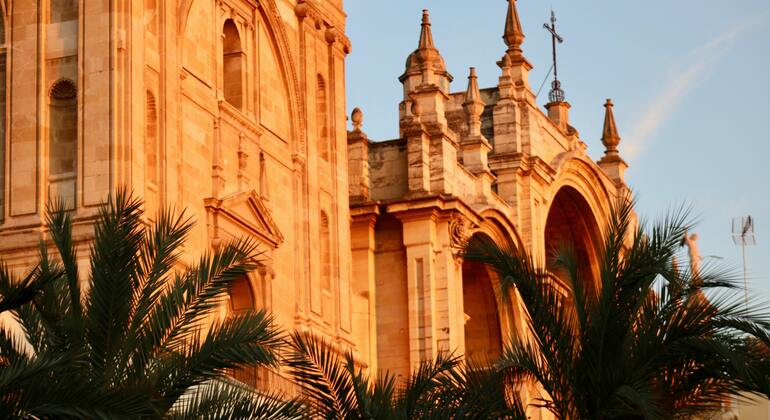 granada-historical-and-monumental-center-complete-tour-es-9