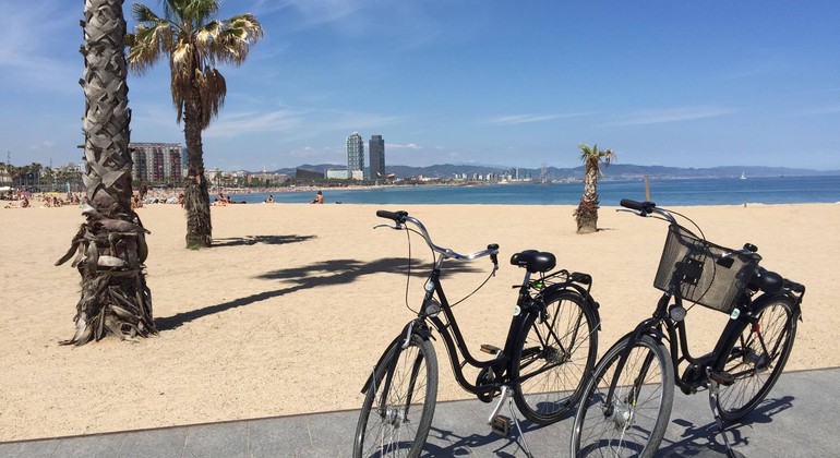 gaudi-and-modernism-tour-hour-es-6