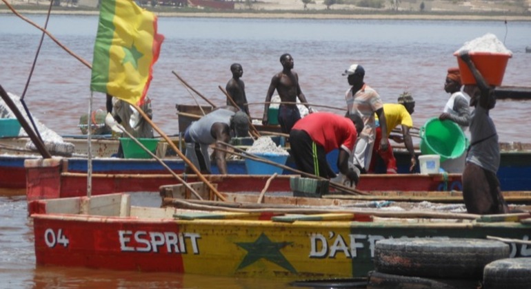 Excursão à Ilha de Gorée e ao Lago Rosa, Senegal