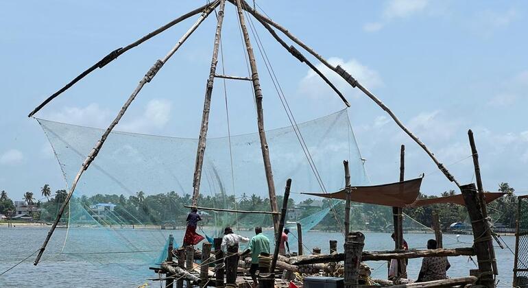 Excursão de grupo a Kochi Destaques