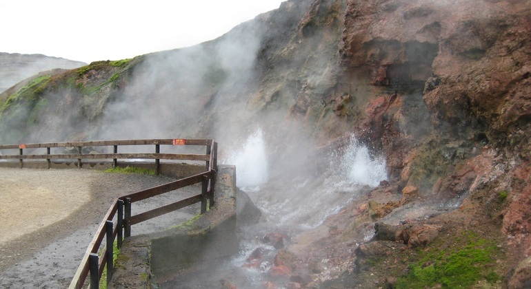 Viagem de um dia a Borgarfjordur a partir de Reiquiavique Organizado por Daytrips