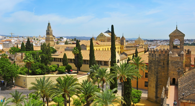 Visita ufficiale di Córdoba: 4 ore con biglietti