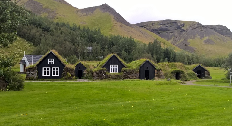 Gita di un giorno sulla costa meridionale da Reykjavik