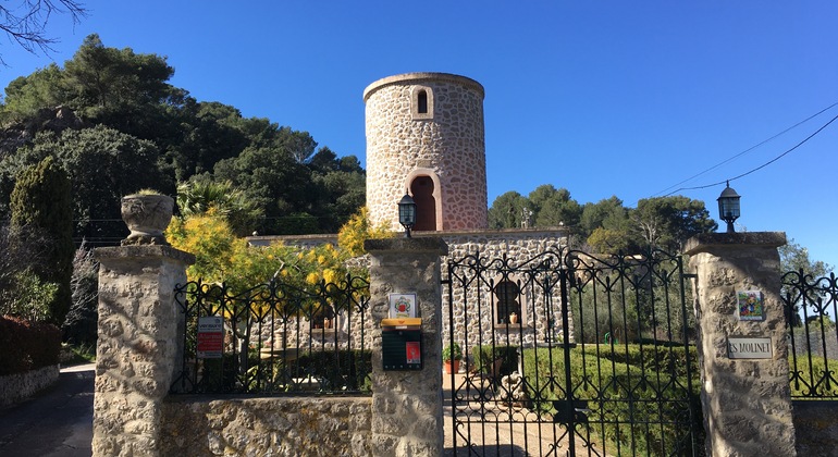 Free-tour-Valldemossa-2