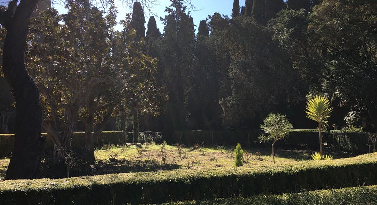 Free-tour-Valldemossa-5