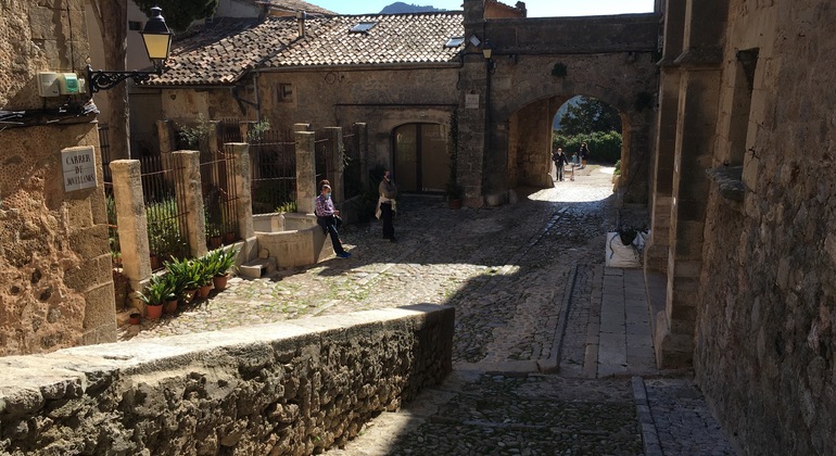 Free-tour-Valldemossa-12