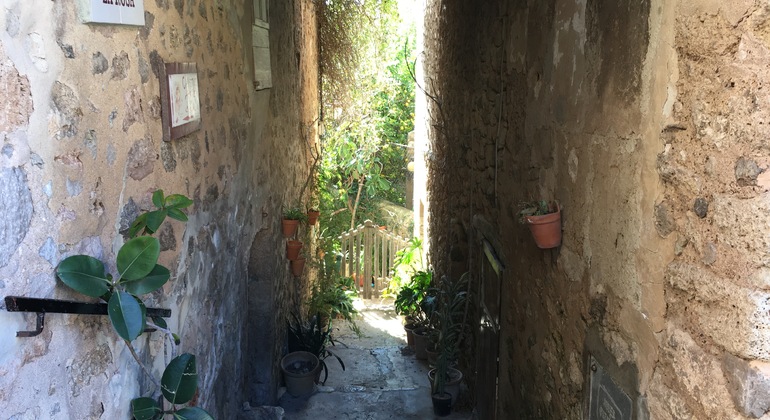 Free-tour-Valldemossa-14