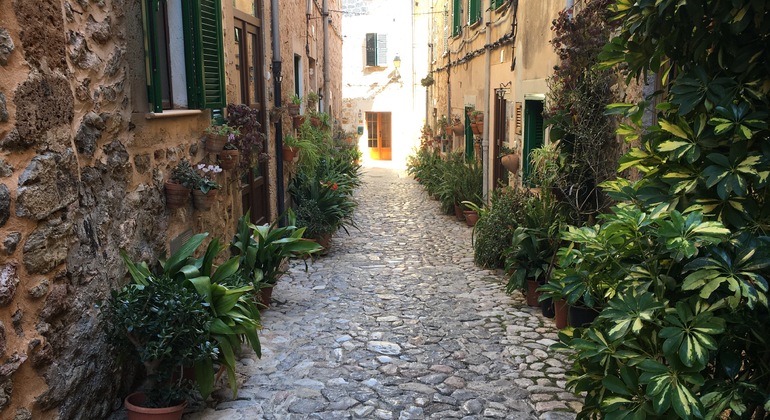Free-tour-Valldemossa-21