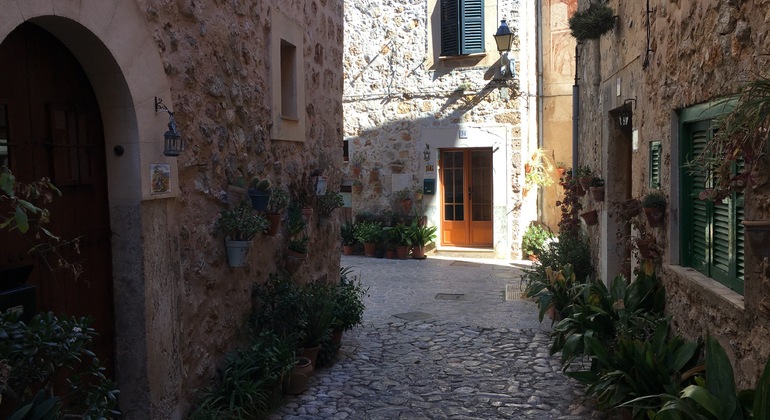 Free-tour-Valldemossa-22