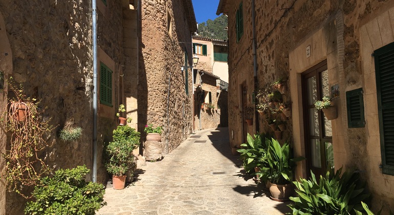 Free-tour-Valldemossa-24