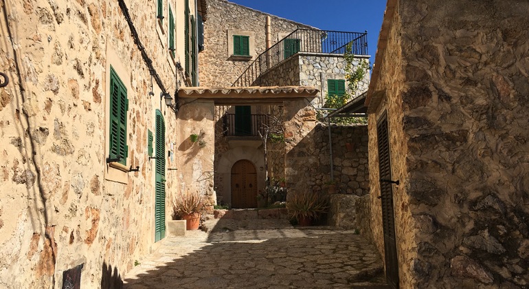 Free-tour-Valldemossa-29