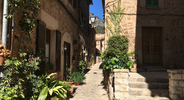 Free-tour-Valldemossa-37