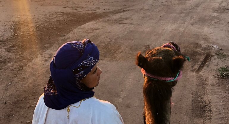 Camel Ride Tour from Marrakech to Palm Grove Provided by omar