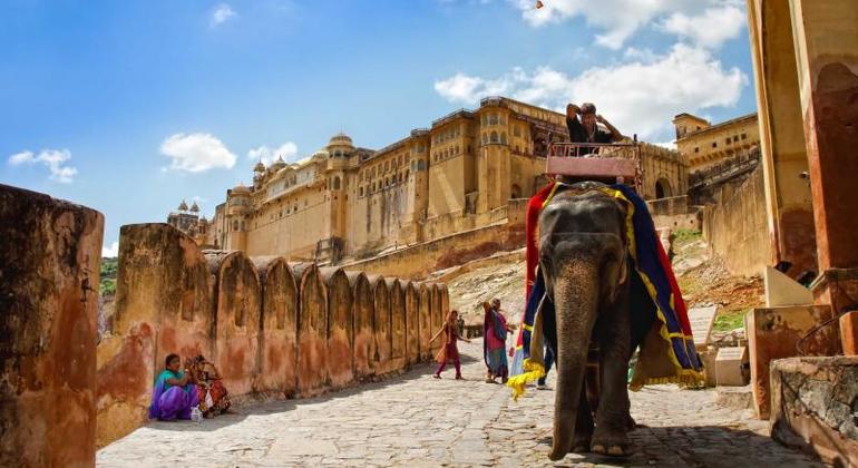 Jaipur Tagestour Bereitgestellt von Travelchoice Holidays Private Limited