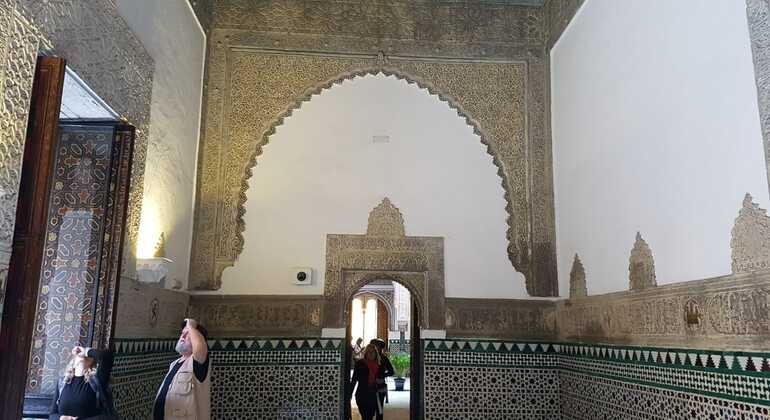 Visite de l'Alcazar royal de Séville Espagne — #5