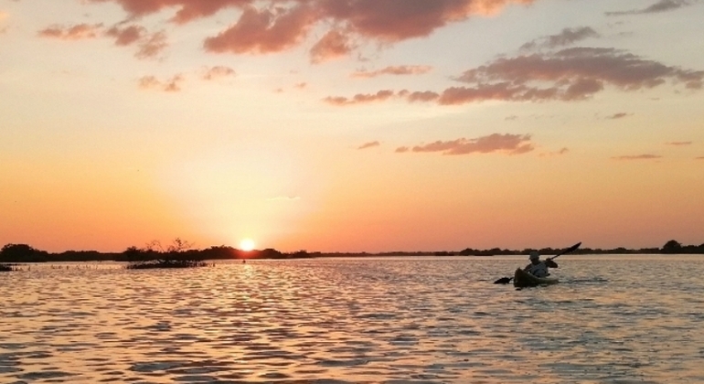 Kayak Tour through Mangroves to Secret Beach Provided by sergio silveira